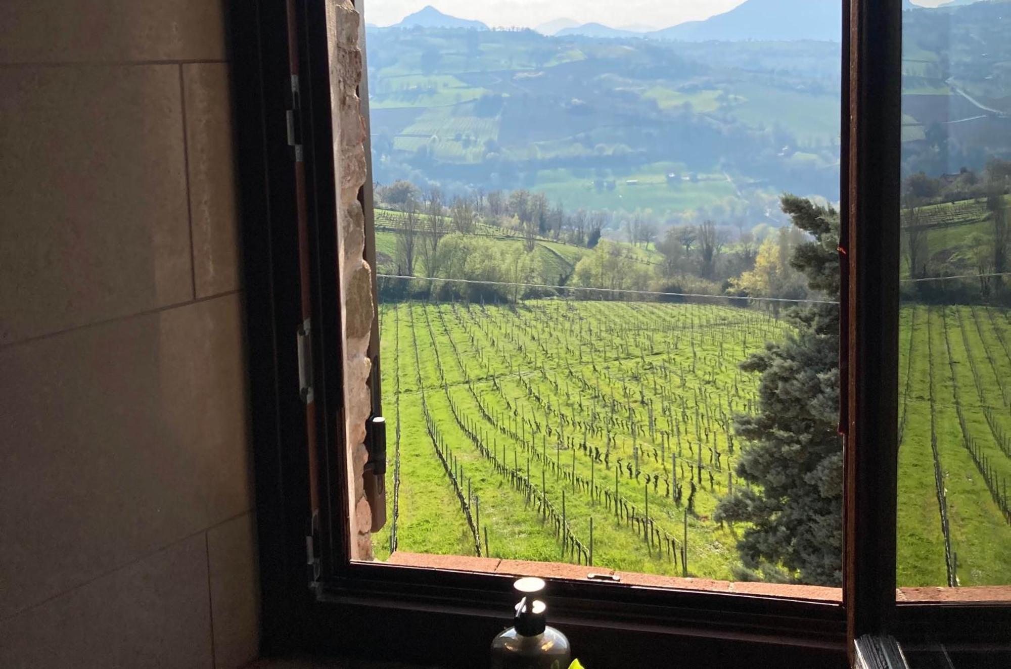 Verdicchio - With Wellness For Winelovers Bed & Breakfast